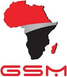 GSM